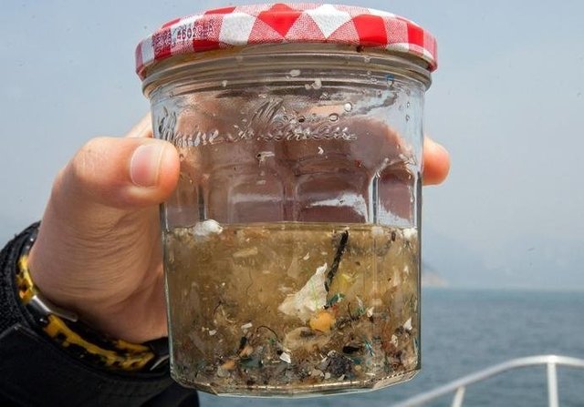 如果知道海洋中的塑料垃圾會(huì)進(jìn)入人類肚子，你還會(huì)丟嗎？