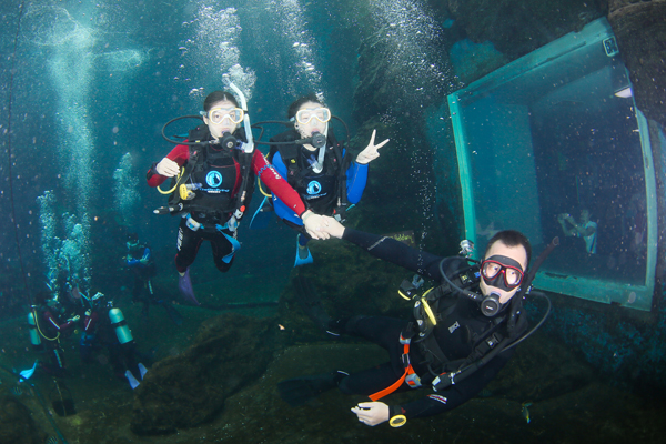 12/12正式上線！PADI 最新課程【休閑潛水員Resort Diver】 丨 一天拿證，潛遍全球