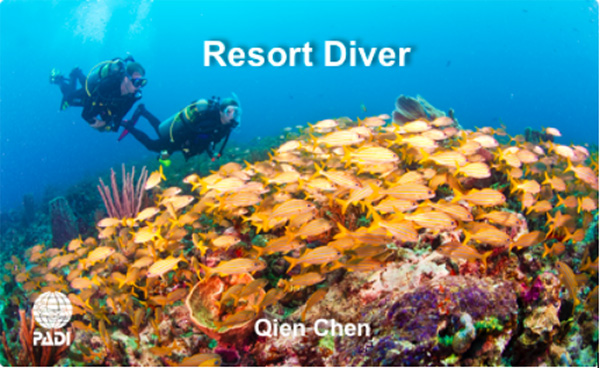 12/12正式上線！PADI 最新課程【休閑潛水員Resort Diver】 丨 一天拿證，潛遍全球