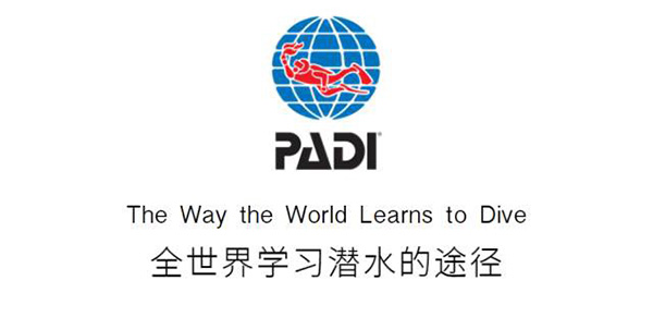 12/12正式上線！PADI 最新課程【休閑潛水員Resort Diver】 丨 一天拿證，潛遍全球