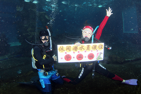 12/12正式上線！PADI 最新課程【休閑潛水員Resort Diver】 丨 一天拿證，潛遍全球