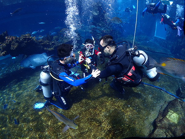 12/12正式上線！PADI 最新課程【休閑潛水員Resort Diver】 丨 一天拿證，潛遍全球