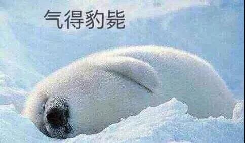 原來(lái)你是這樣的潛水員妹子！